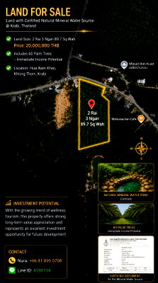 Land for sale Khlong Thom Krabi : Rare Land Opportunity with Natural Mineral Spring (Certified) 