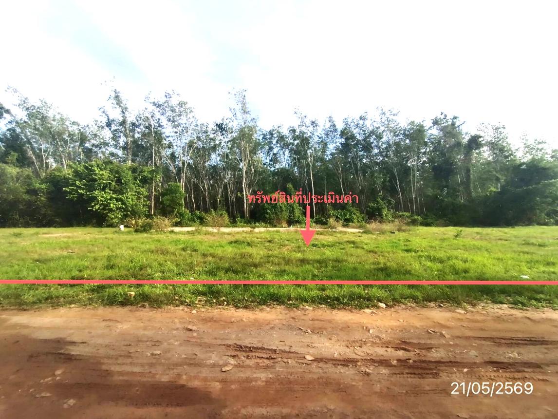 รูป ที่ดินว่างเปล่า 461.5 ตร.วา หาดใหญ่ สงขลา 1.3M - รูปที่ 13/24