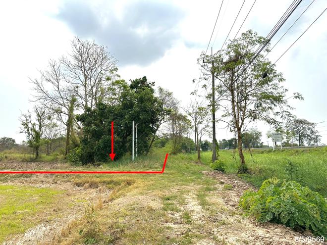 รูป ที่ดินว่างเปล่า 5639 ตร.วา เมืองพิษณุโลก พิษณุโลก 57.3M - รูปที่ 4/16