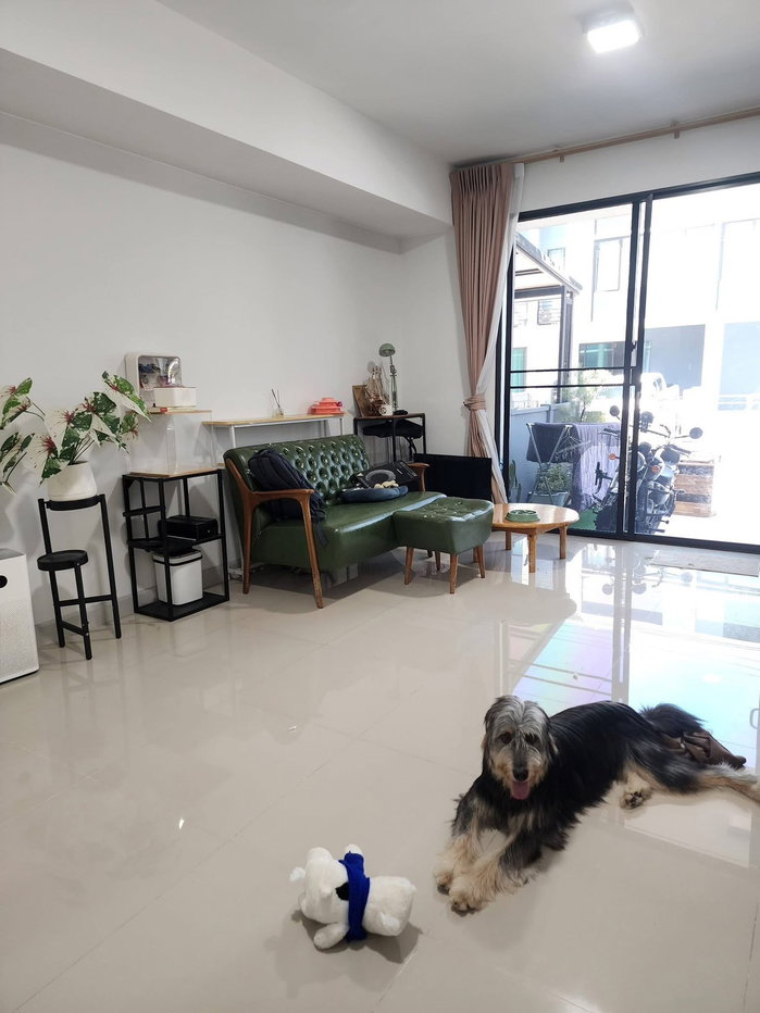 รูป 🏡✨ ให้เช่าให้เช่าทาวน์โฮม Pleno ติวานนท์ 3 ห้องนอน 2 ห้องน้ำ เฟอร์ครบ พร้อมอยู่ บ้านทิศใต้ ลมดี 🐶🐱เลี้ยงสัตว์ได้ - รูปที่ 3/9