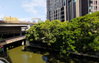 listing thumbnail image 37