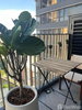listing thumbnail image 9