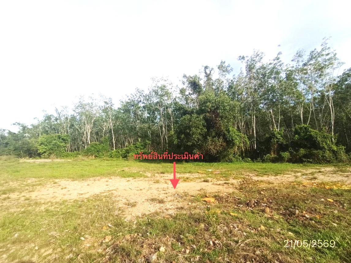 รูป ที่ดินว่างเปล่า 461.5 ตร.วา หาดใหญ่ สงขลา 1.3M - รูปที่ 14/24