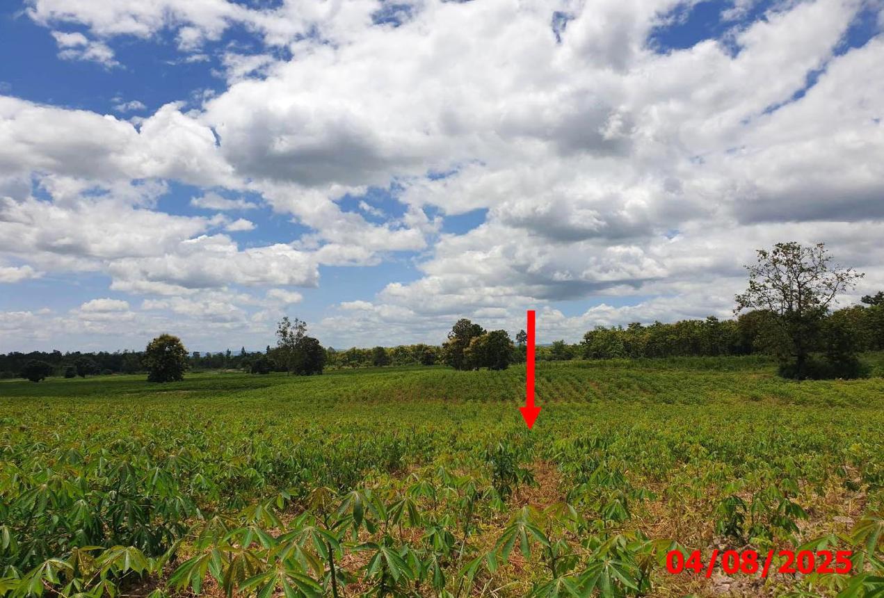 picture LAND 63787 Sq.w. Hang Chat Lamphang for 28.7M - 19/24