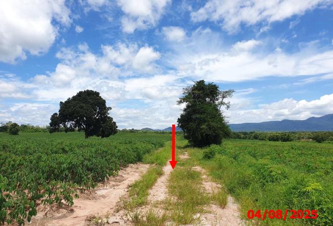 picture LAND 63787 Sq.w. Hang Chat Lamphang for 28.7M - 7/24