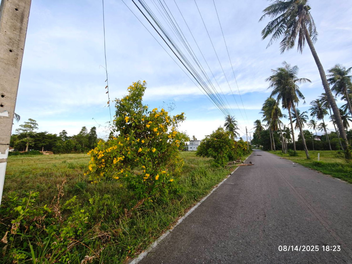 รูป ขายที่ดิน สวย ติดถนน ห่างจาก ชายหาด ปากน้ำปราณ ปราณบุรี 2 กิโลเมตร จำนวน 4 ไร่ - รูปที่ 3/5