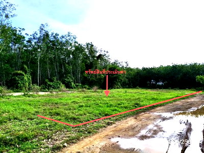LAND 461.5 Sq.w. Khlong Hoi Khong Songkhla for 1.3M