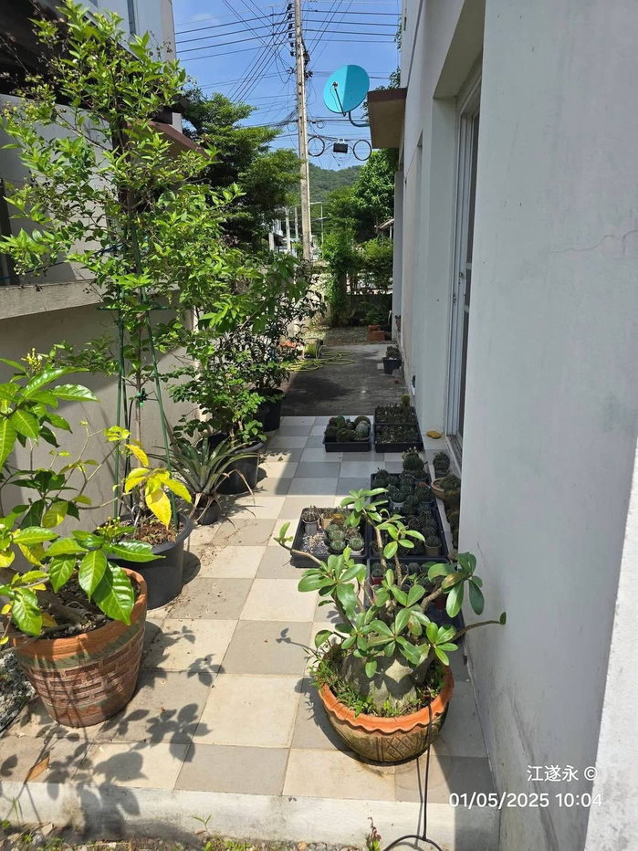 รูป ให้เช่าบ้านแฝด ม.เมโทรปาร์ค ใกล้ ม.เกษตรฯ ศรีราชา - รูปที่ 6/14