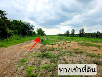 ที่ดิน รพ.มหาวชิราลงกรณ์ธัญบุรี : ขาย ที่ดินเปล่า ขนาด 2 ไร่ 259 ตร.วา เหมาะสำหรับทำการเกษตร ปลูกบ้านพักอาศัย โกดังจัดสรร | 93359