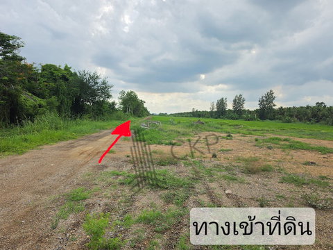 Vacant land for sale, 2 rai 259 sq.wa. Suitable for agriculture, building a house, or a warehouse/development project. | 93359