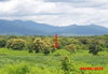 listing thumbnail image 19