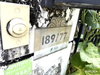 listing thumbnail image 13