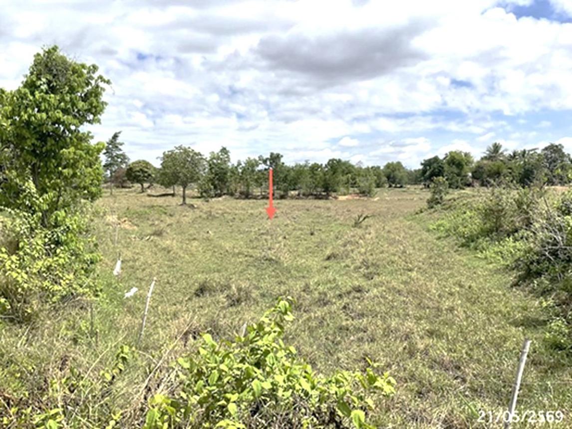 picture LAND 5664 Sq.w. Det Udom Ubon Ratchathani for 6.1M - 14/20