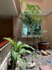 listing thumbnail image 11