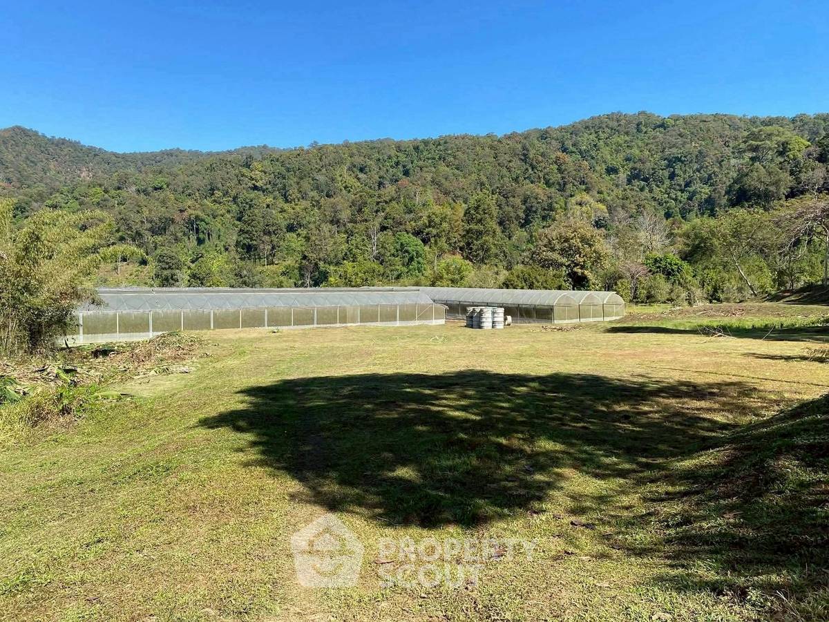 รูป ที่ดินสำหรับปล่อยขาย 8,000 ตารางเมตร แถว ใน เทพเสด็จ (ID 3026486) - รูปที่ 10/13
