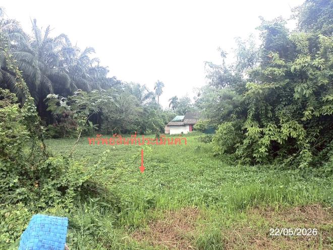 picture LAND 143 Sq.w. Phra Phrom Nakhon Sri Thammarat for 842,000 - 4/16