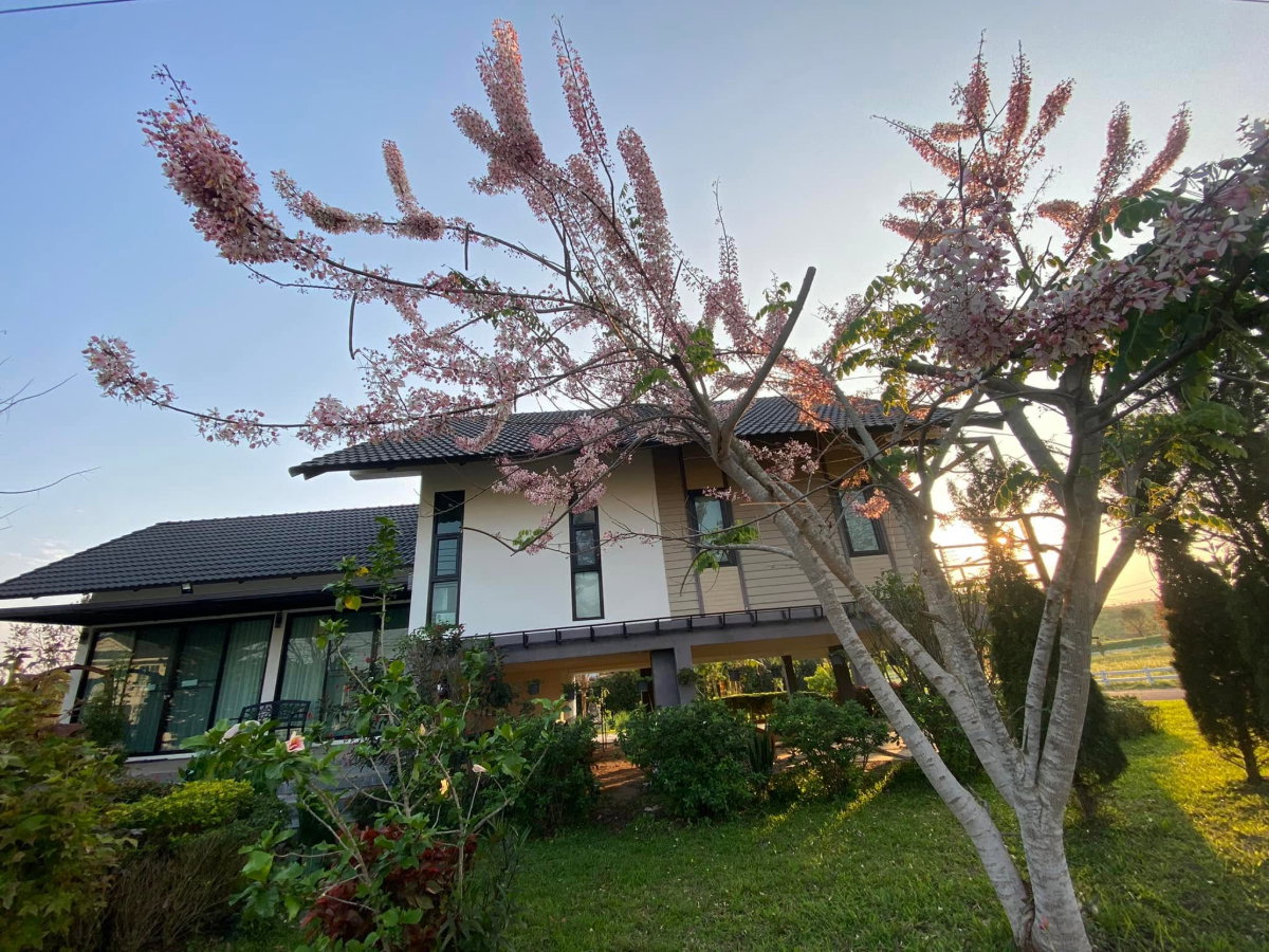 รูป J135|บ้านเดี่ยว 2 ชั้น โครงการ เขาค้อไฮแลนด์ซิตี้ บ้านพร้อมกิจการรีสอร์ท โอบล้อมด้วย ธรรมชาติและขุนเขา  เขาค้อ เพชรบูรณ์ (ราคา 16,900,000  บาท)  - รูปที่ 7/73
