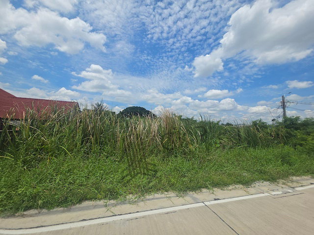รูป ให้เช่า ที่ดินเปล่า ขนาด 276 ตร.วา ติดถนนคอนกรีต เหมาะกับสร้างที่พักอาศัยหรือโกดัง ใกล้ถนนใหญ่และห้างสรรพสินค้า | 93382 - รูปที่ 3/9