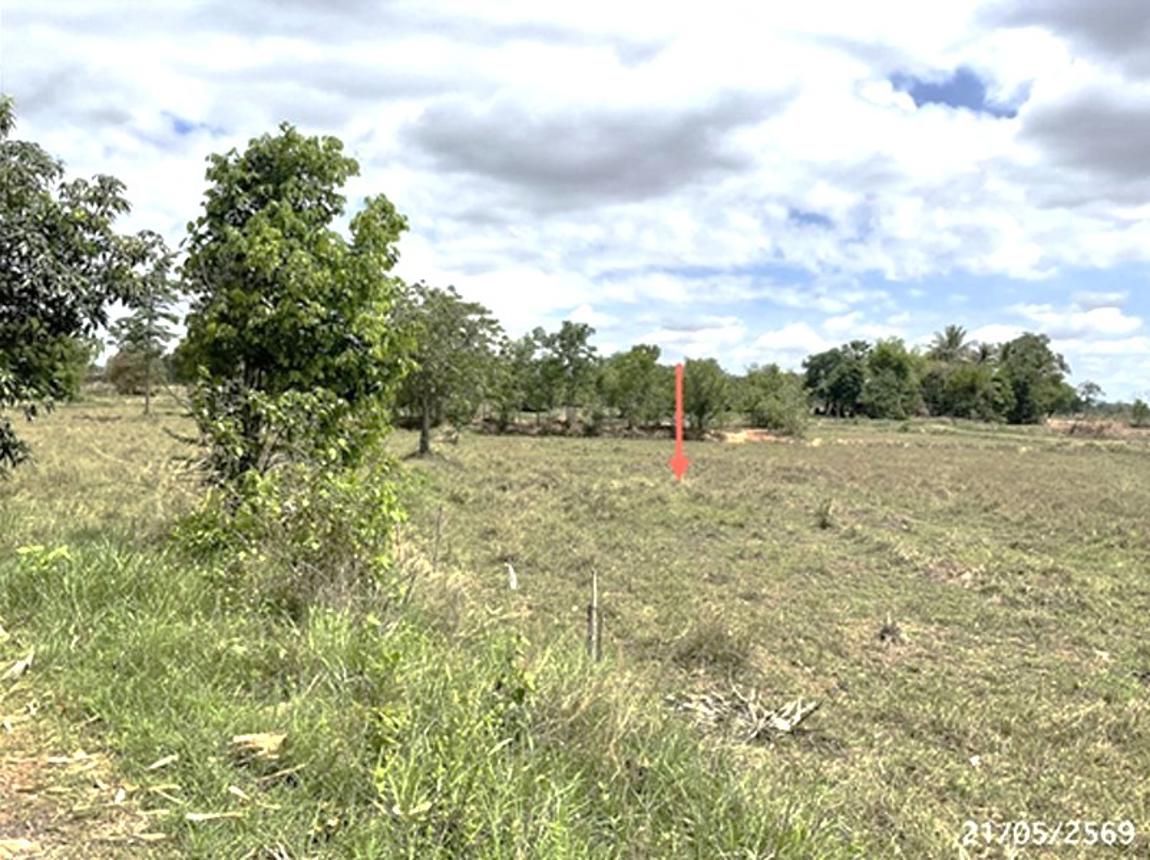 picture LAND 5664 Sq.w. Det Udom Ubon Ratchathani for 6.1M - 15/20