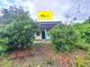 listing thumbnail image 24