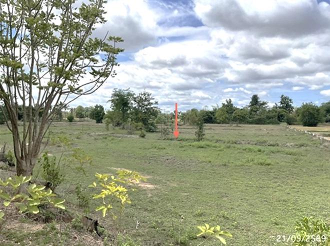 picture LAND 5664 Sq.w. Det Udom Ubon Ratchathani for 6.1M - 8/20