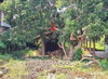 listing thumbnail image 8