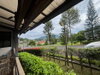 listing thumbnail image 61