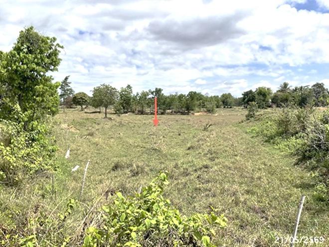 picture LAND 5664 Sq.w. Det Udom Ubon Ratchathani for 6.1M - 6/20