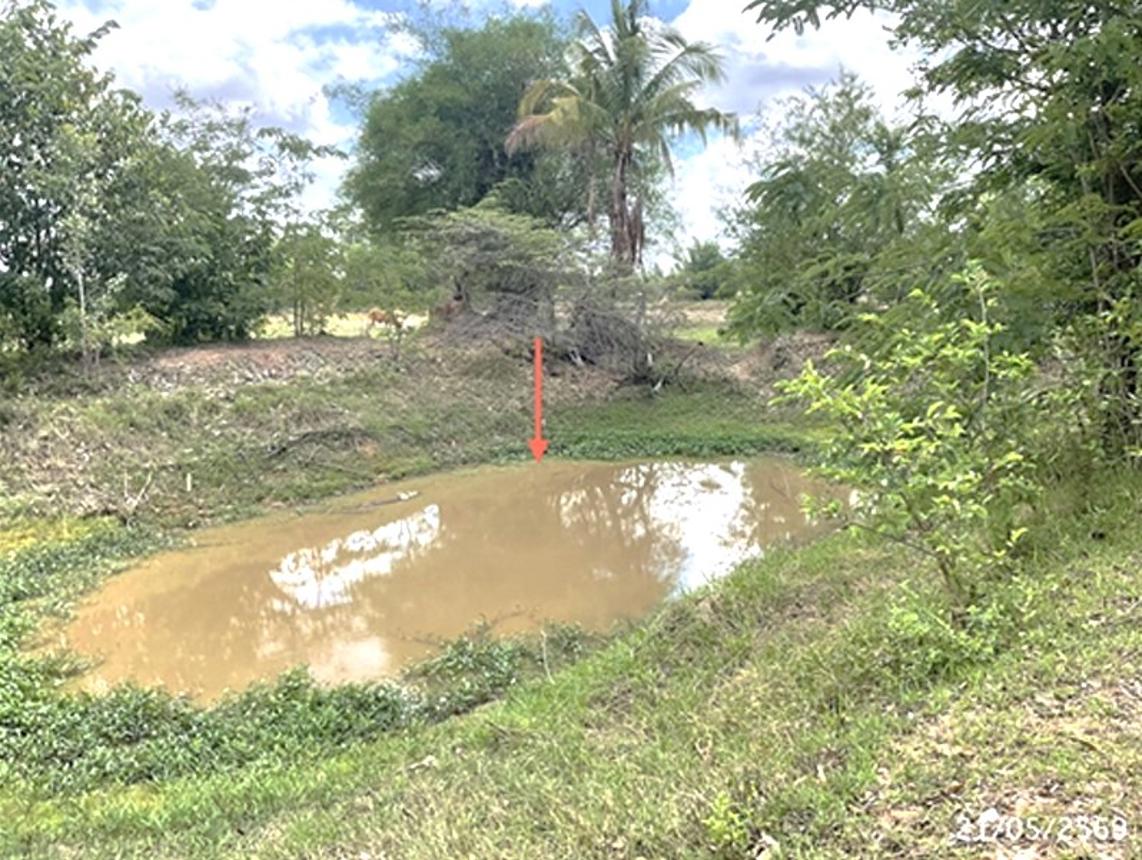picture LAND 5664 Sq.w. Det Udom Ubon Ratchathani for 6.1M - 13/20