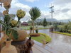 listing thumbnail image 69