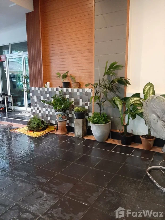รูป ขายบ้านเดี่ยวหมู่บ้านเพอร์เฟคเพลส สุขุมวิท 77 เฟส4 (ถนนเมน) 897378 - รูปที่ 10/16