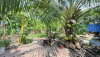 listing thumbnail image 17
