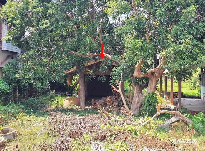 picture HOME 211 Sq.w. Wiang Sa Nan for 1.8M - 4/14