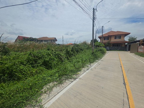 ให้เช่า ที่ดินเปล่า ขนาด 276 ตร.วา ติดถนนคอนกรีต เหมาะกับสร้างที่พักอาศัยหรือโกดัง ใกล้ถนนใหญ่และห้างสรรพสินค้า | 93382