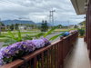 listing thumbnail image 71