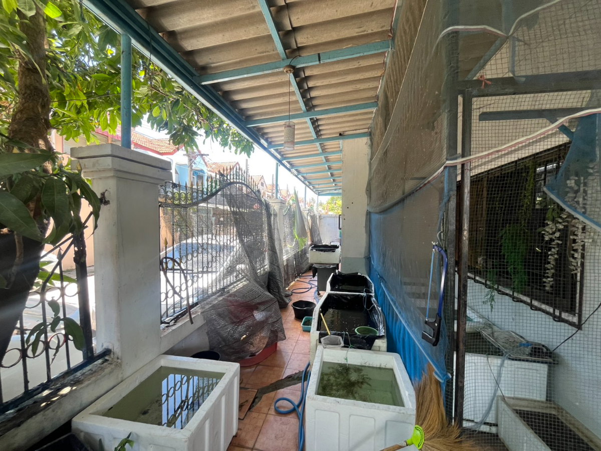 รูป BL144|บ้านเดี่ยว 2 ชั้น โครงการ ชัยมงคล (หลังมุม) ซอย 8 ถนนกาญจนาภิเษก ถนนเพชรเกษม เขตบางแค กรุงเทพ (ราคา 4,690,000 บาท) - รูปที่ 15/17