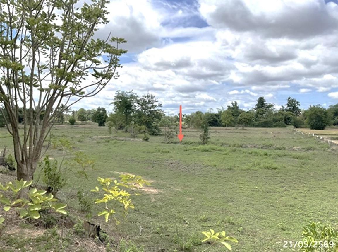 picture LAND 5664 Sq.w. Det Udom Ubon Ratchathani for 6.1M - 16/20