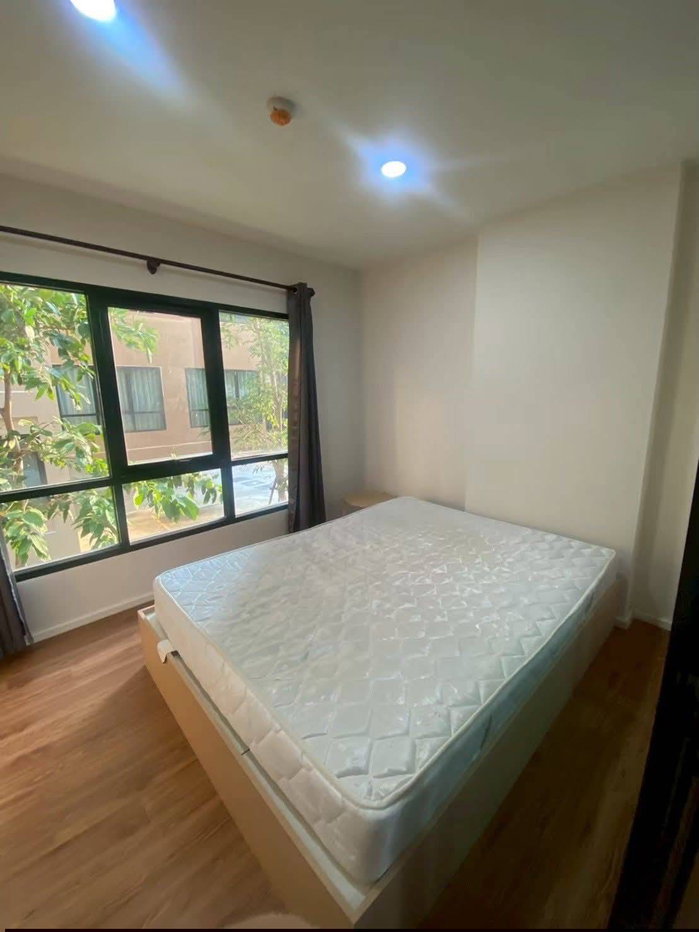 รูป ให้เช่า Alive สุขุมวิท 76 🏡 มีเครื่องซักผ้า เฟอร์ครบ ‼️ ใกล้ BTS #ตอบแชทไว🔥🔥 รหัส L139 - รูปที่ 1/5