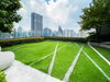 listing thumbnail image 16