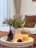 listing thumbnail image 12
