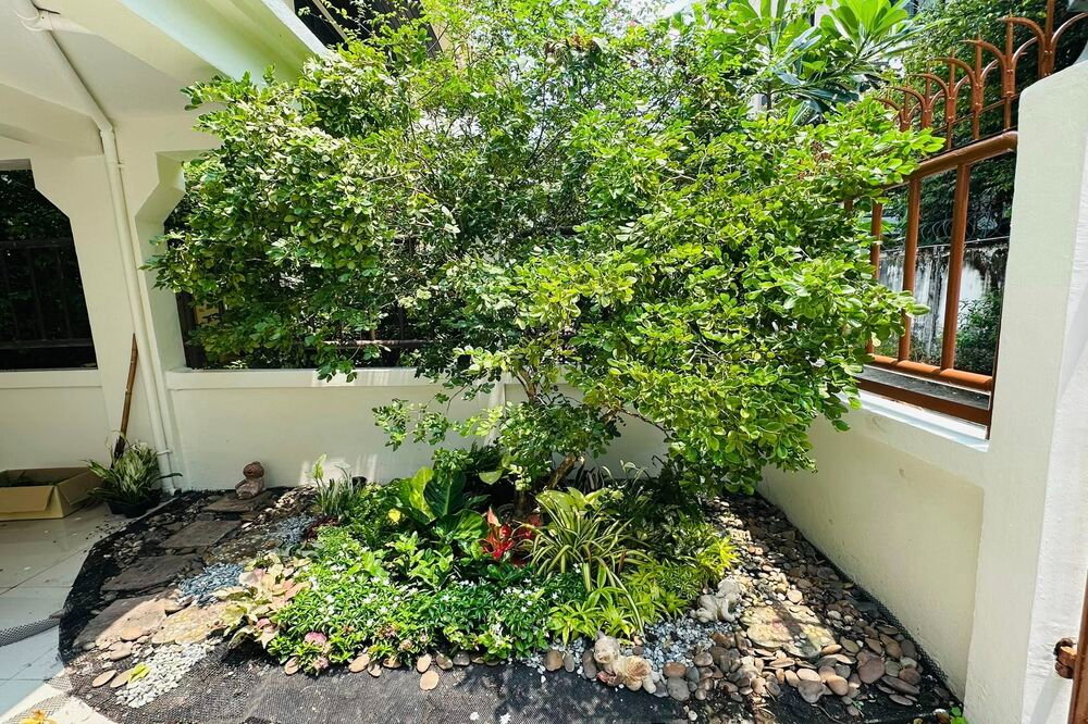 รูป เช่าบ้านเดี่ยว !! House in Phromphong, 5 ห้องนอน, 5 ห้องน้ำ, 4 ชั้น, มีสวนขนาดเล็ก, มีที่จอด 2-3 คัน !! Code C20230109716 แต่งครบ, พร้อมเข้าอยู่ 📣📣 - รูปที่ 11/13