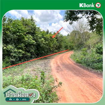 picture LAND 1002 Sq.w. Sawang Weerawong Ubon Ratchathani for 2M - 12/14