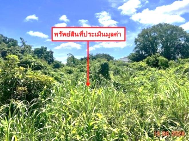 picture LAND 907 Sq.w. Bang Krathum Phitsanulok for 4.5M - 9/22