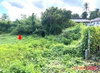 listing thumbnail image 17