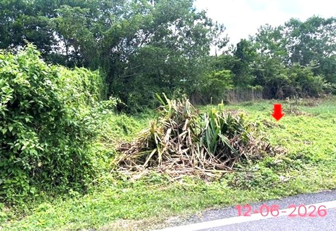 picture LAND 231 Sq.w. Ruso Narathiwat for 3.7M - 4/24