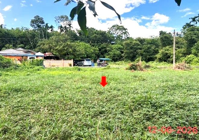 picture LAND 231 Sq.w. Ruso Narathiwat for 3.7M - 10/24