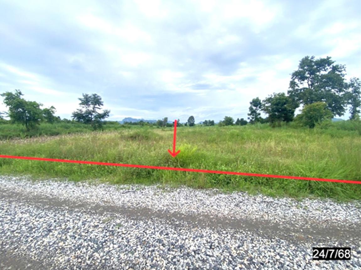 picture LAND 4569 Sq.w. Si Chomphu Khon Kaen for 1.6M - 5/12