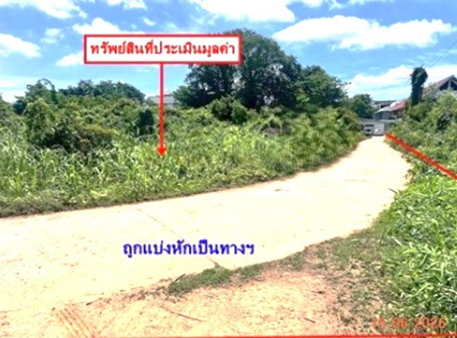 picture LAND 907 Sq.w. Bang Krathum Phitsanulok for 4.5M - 4/22