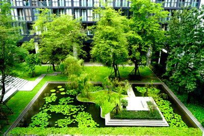 Condos for rent :  Noble Ploenchit Building A 49 sqm