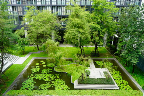 Swimming pool view at Noble Ploenchit Building A